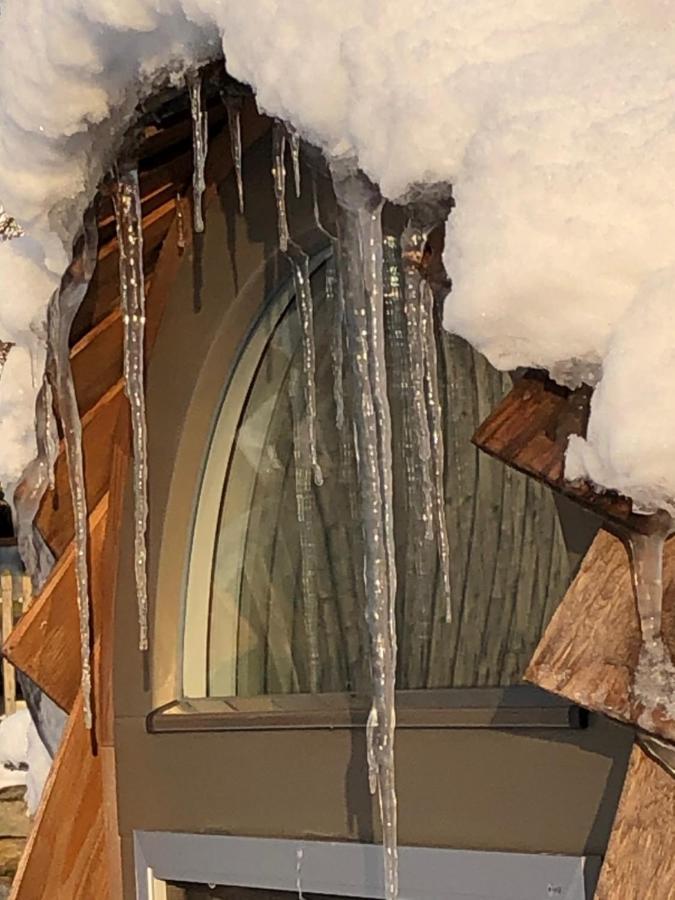 Apartment Igluhut Tiny House Bayerischer Wald Zachenberg